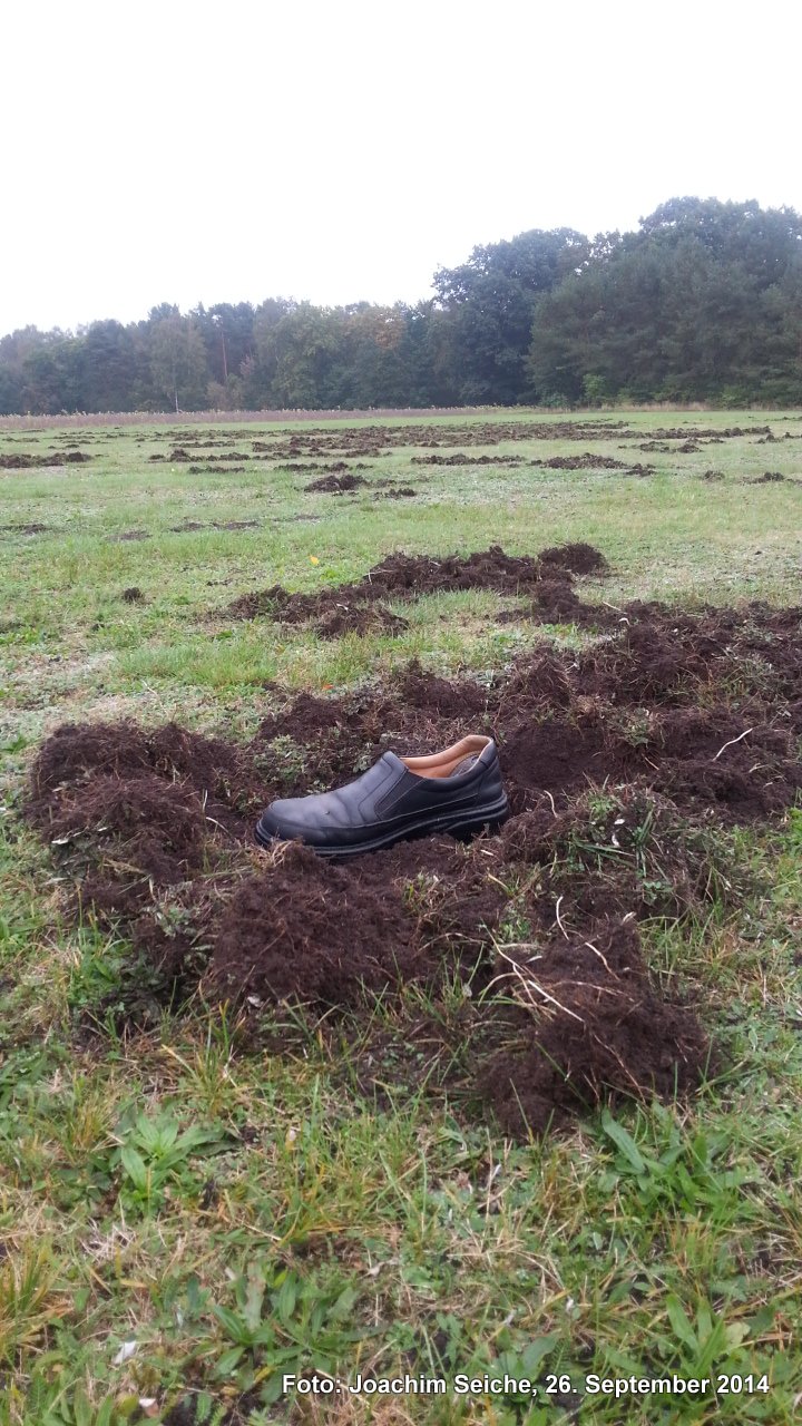 Schuhgröße 43 zum Vergleich